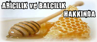 Arıcılık ve Balcılık Hakkında